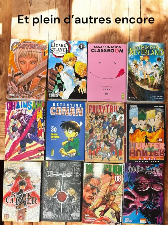 Des mangas à Maisons Laffitte , Maisons-Laffitte, Culture gaming