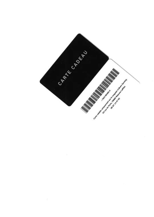 Carte de visite, Maisons-Laffitte, Culture gaming